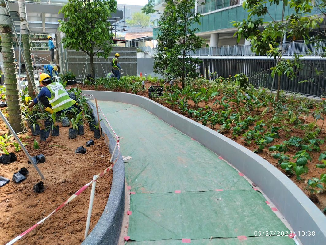 e deck planting - 1